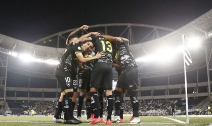Botafogo e Palmeiras vencem e seguem na disputa pelo Brasileirão