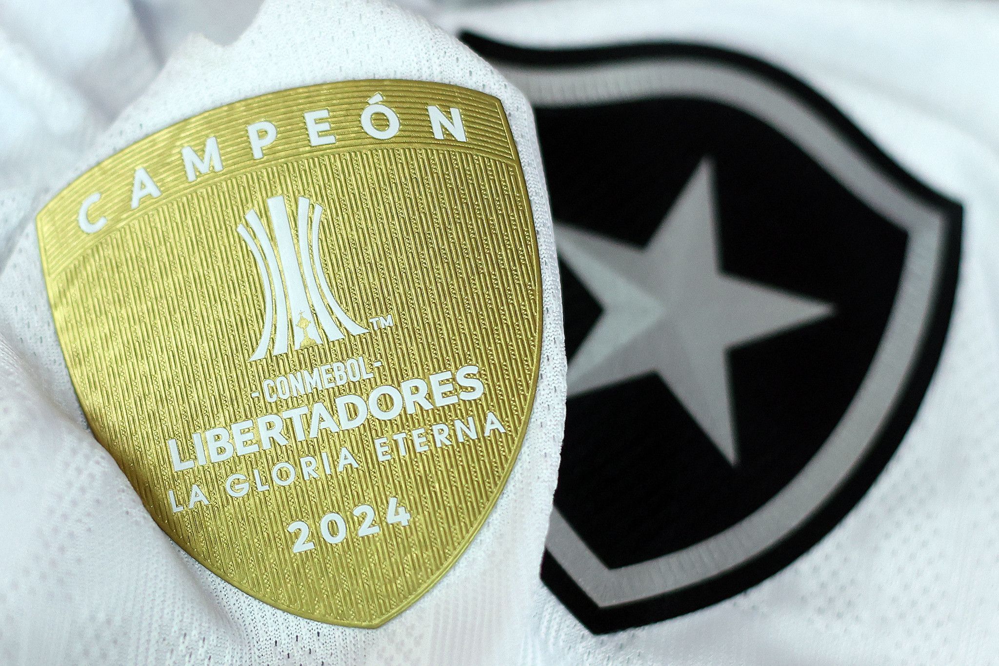 Botafogo campeão Libertadores 2024