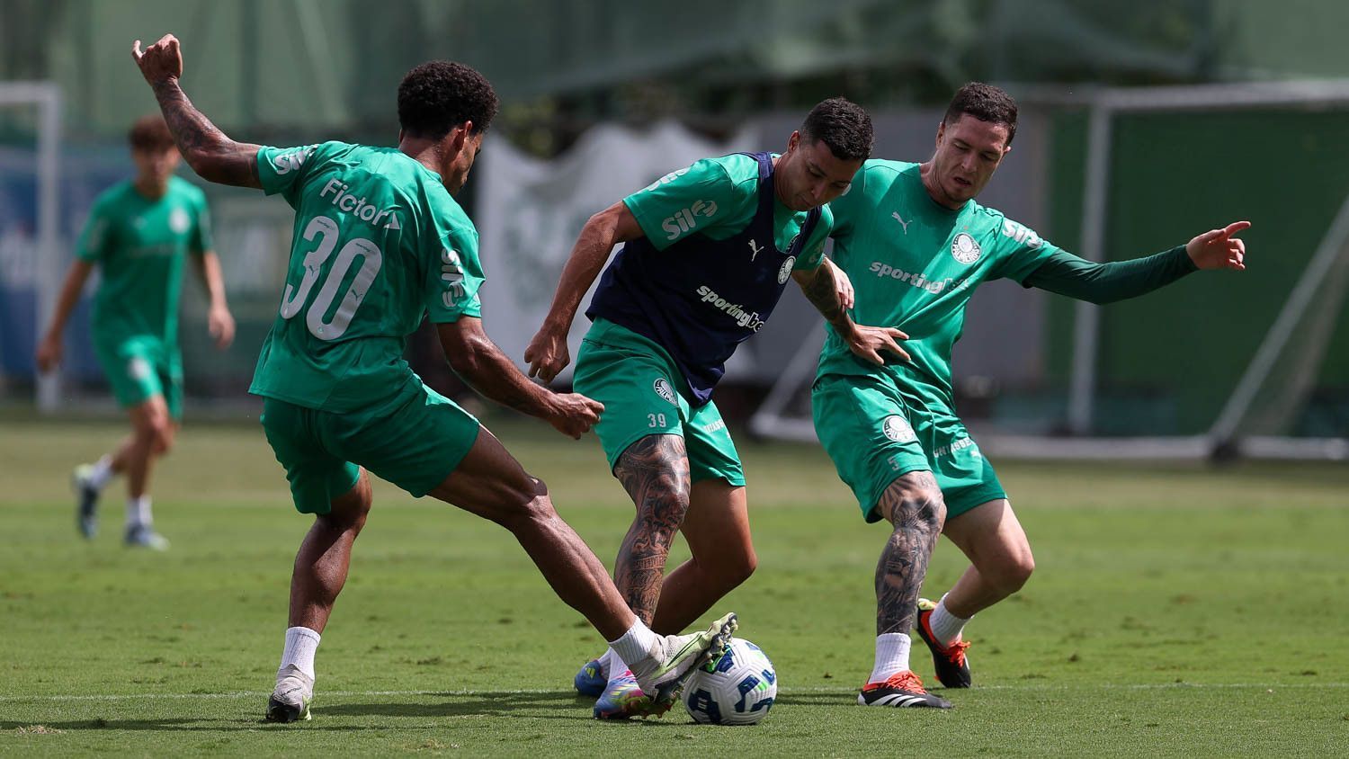 Treino do Palmeiras para Libertadores