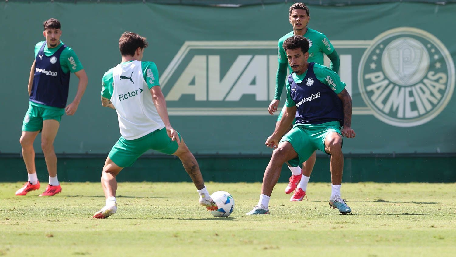 Treino do Palmeiras para estreia na Libertadores