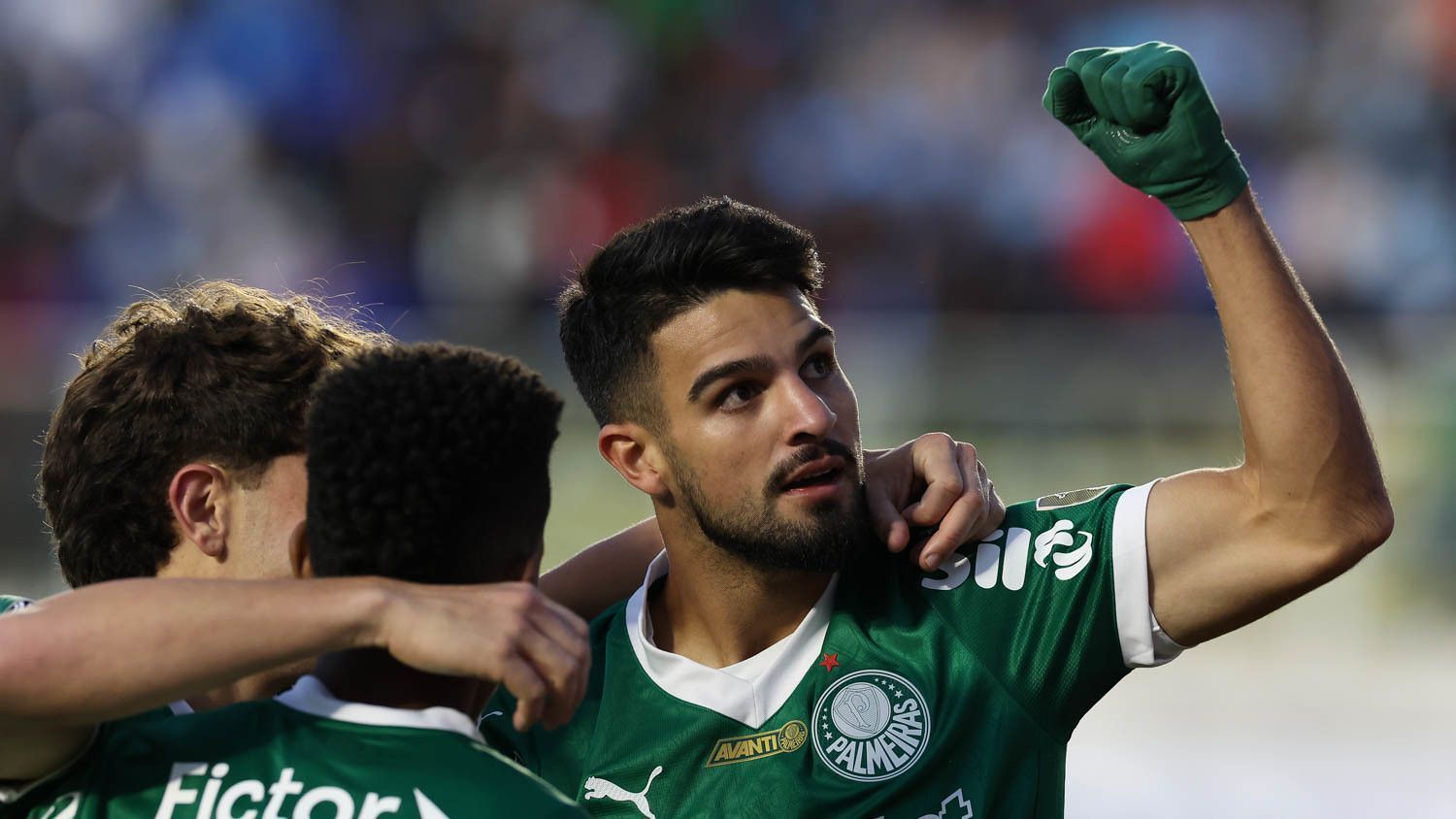 palmeiras