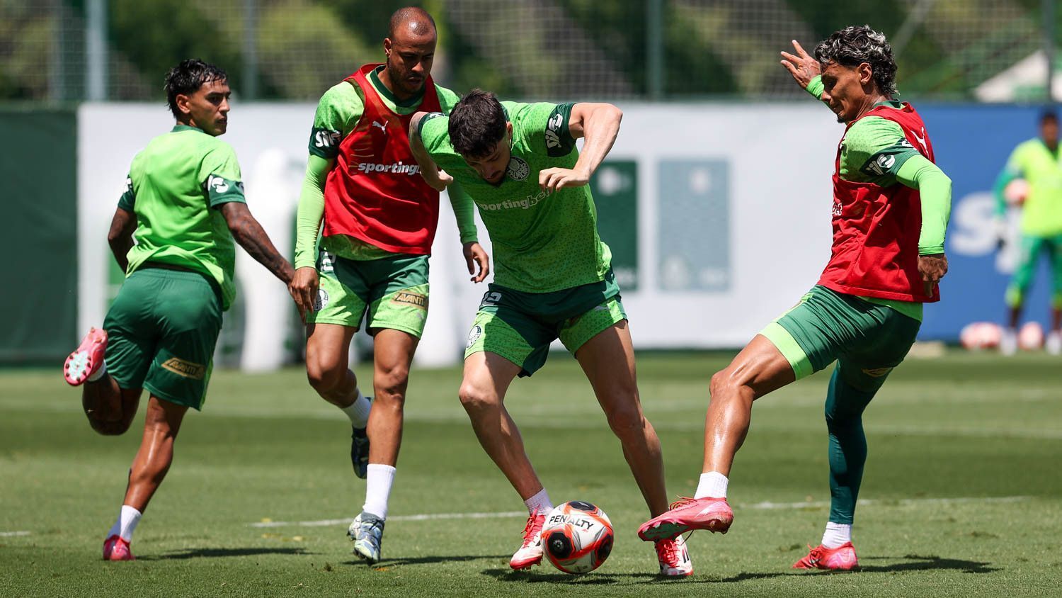 treino do palmeiras