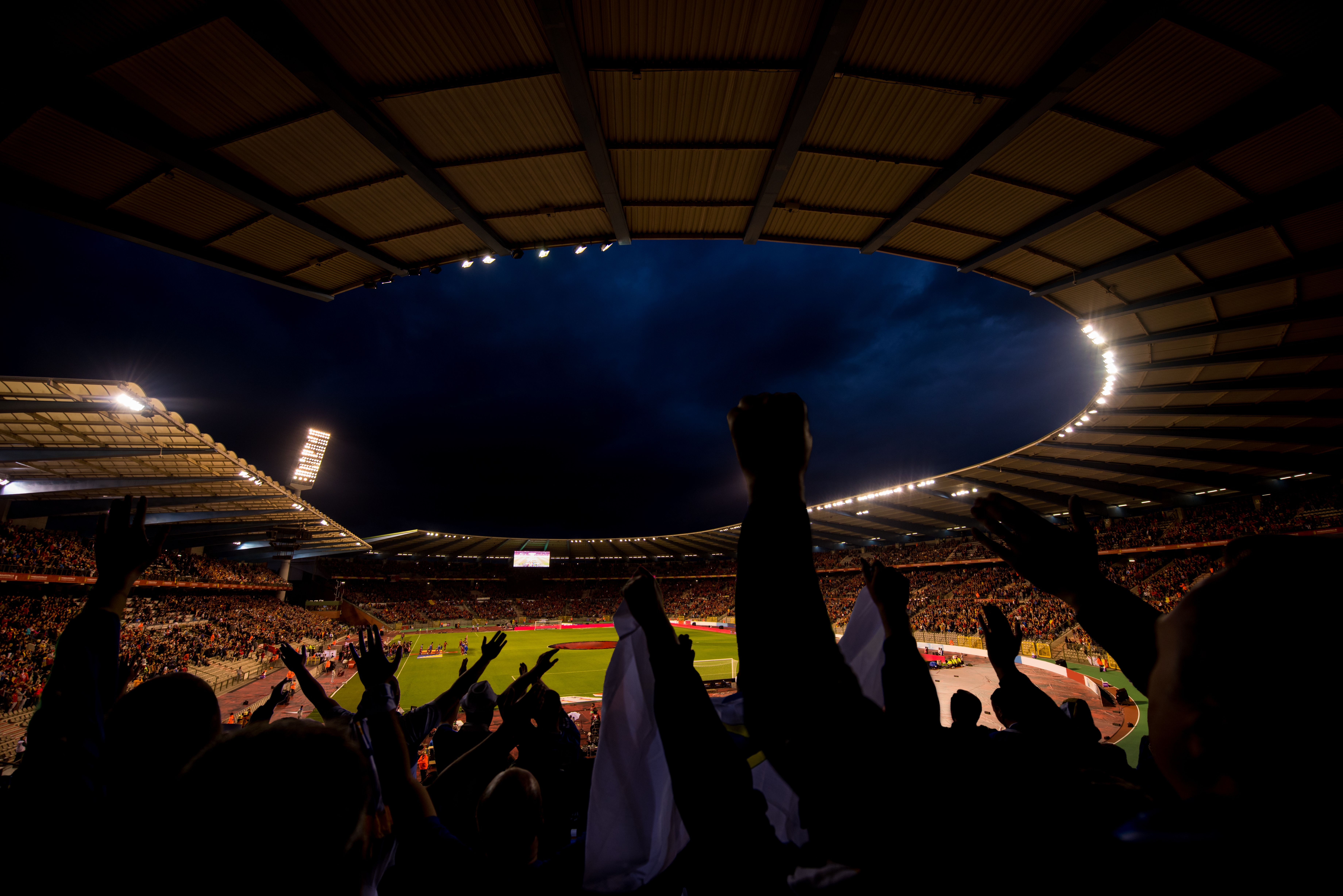 soccer fans support their favorite sports team