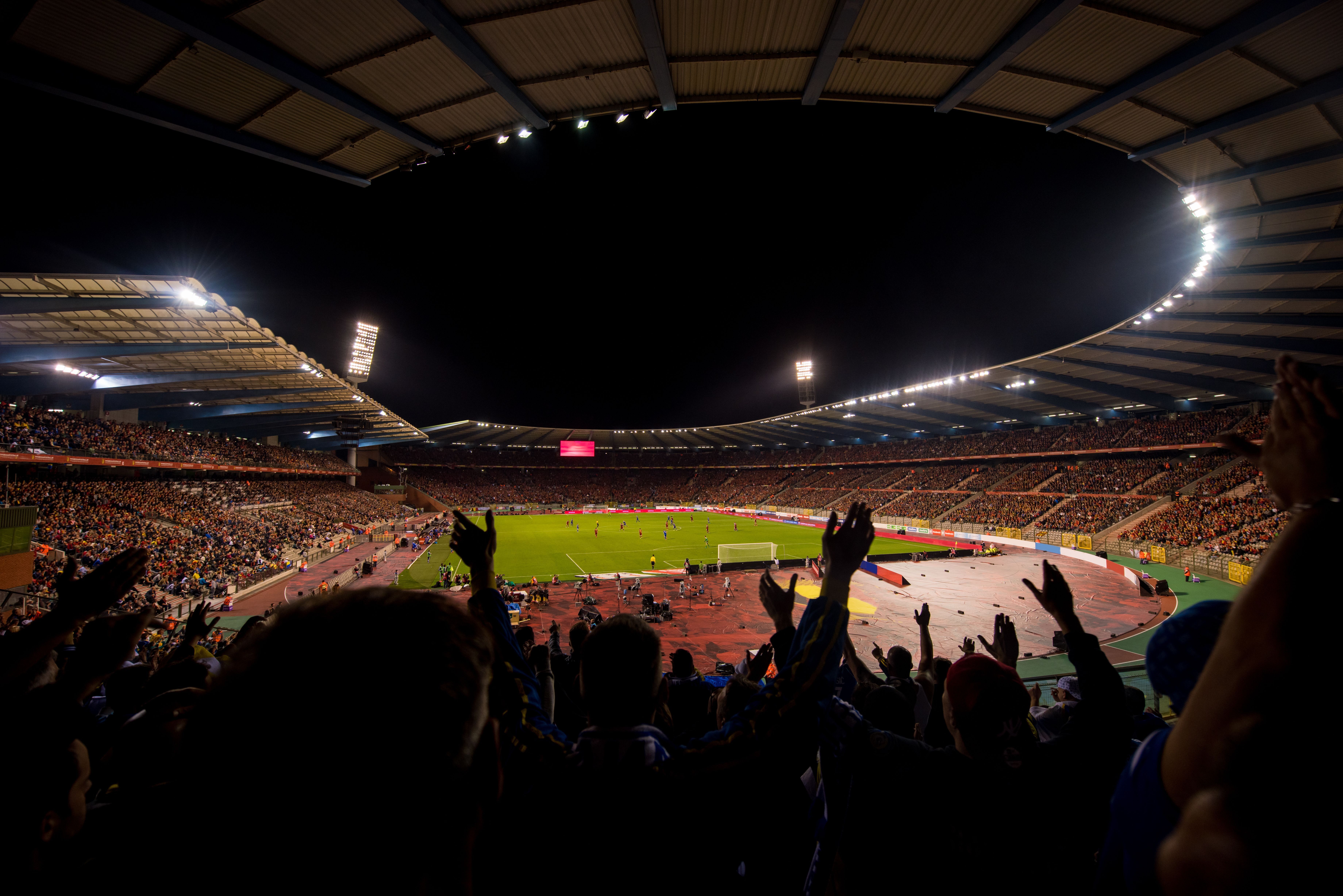 soccer fans support their favorite sports team