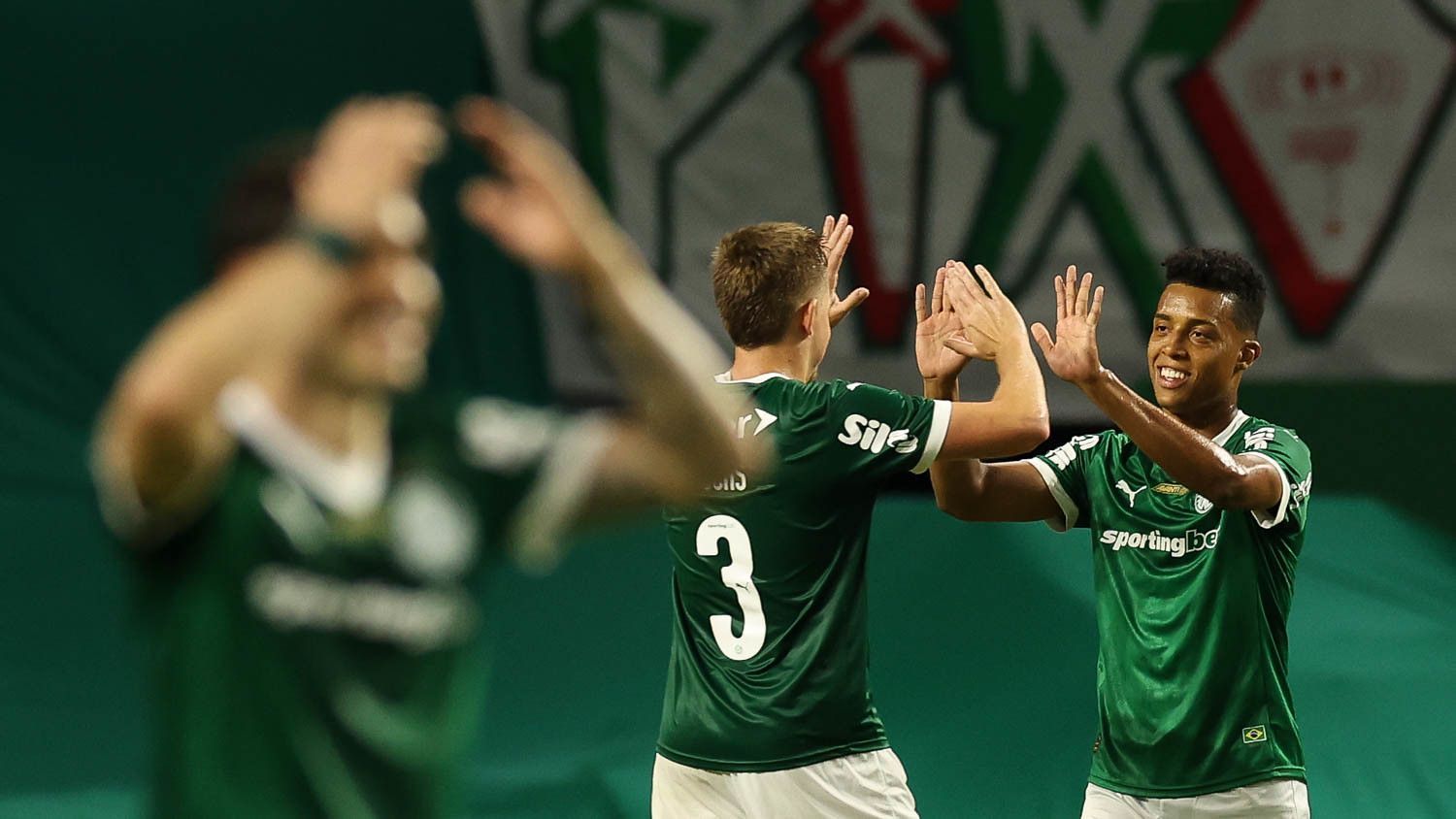Palmeiras Foto Cesar Greco
