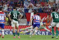 Palpite Palmeiras x Fortaleza: estatísticas e odds no Brasileirão Série A