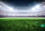 Palpite Botafogo-SP x Paysandu hoje (07/10): estatísticas na Série B