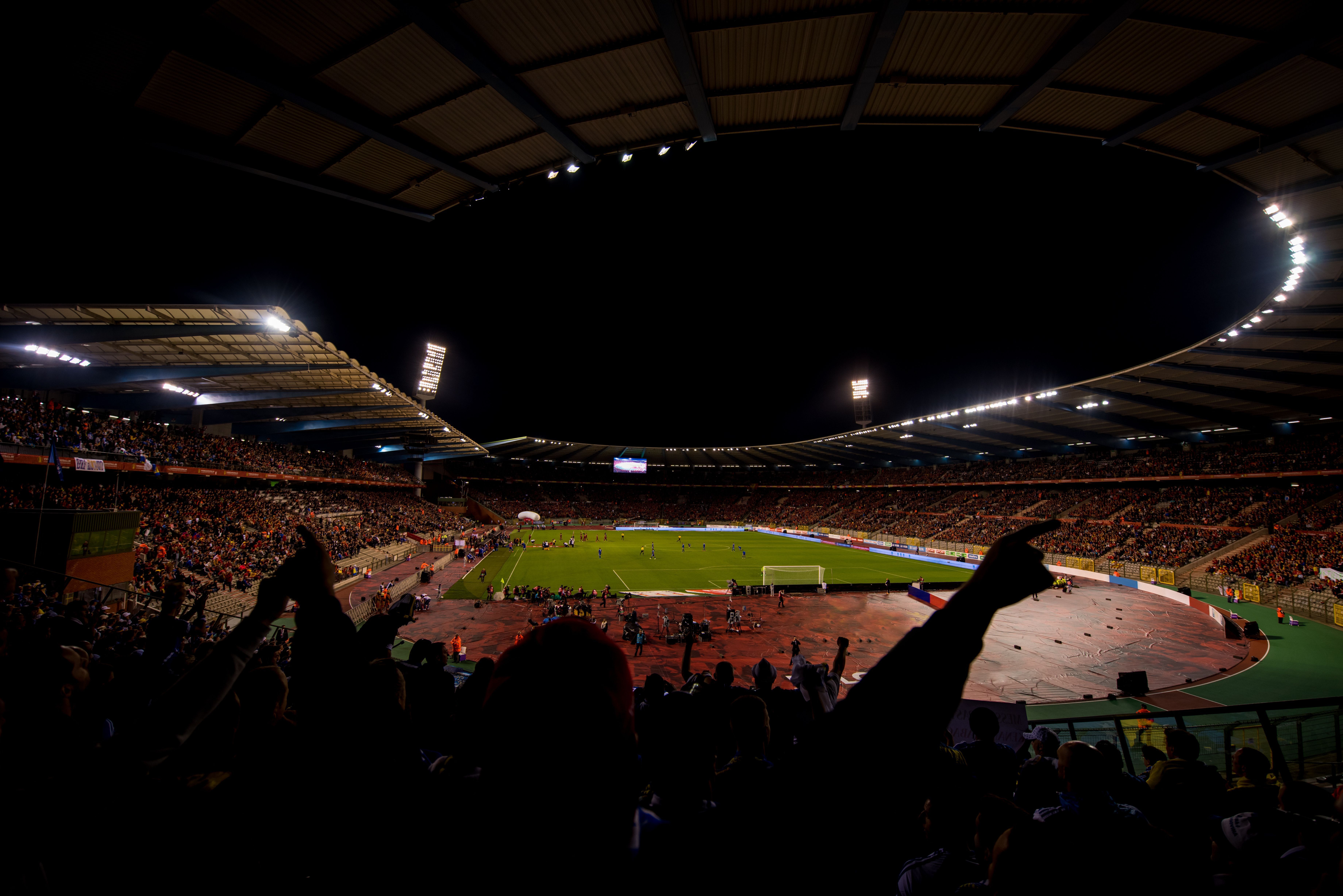 soccer fans support their favorite sports team