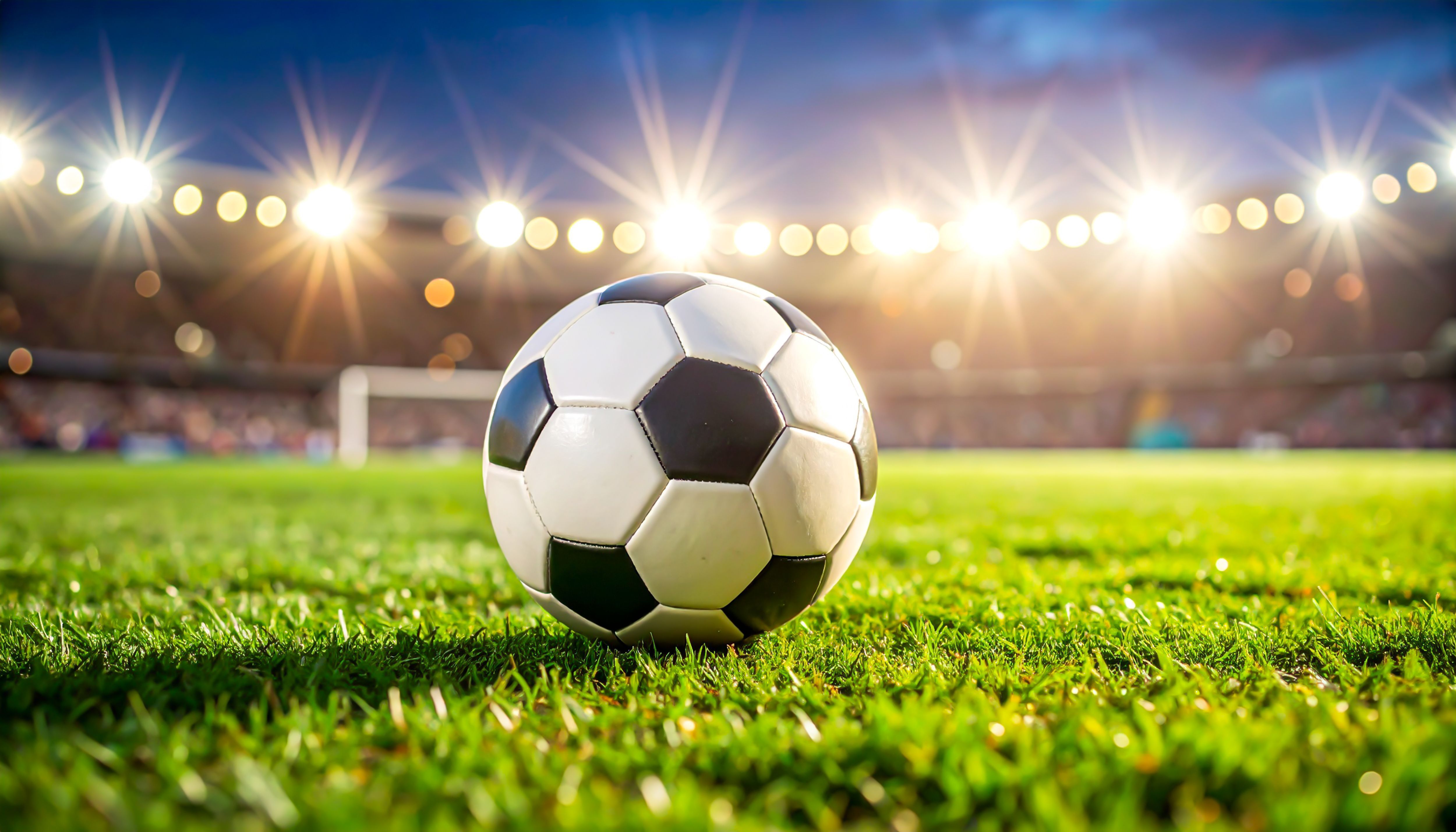 Fussball auf Rasen