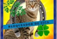 Betnacional quer "quebrar a zica da Seleção" para a Copa do Mundo