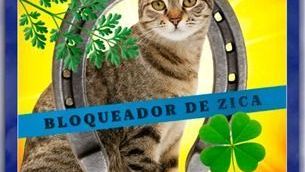 Betnacional quer "quebrar a zica da Seleção" para a Copa do Mundo