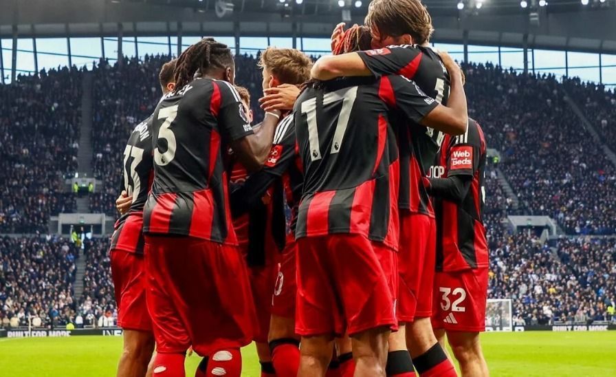 fulham x manchester city