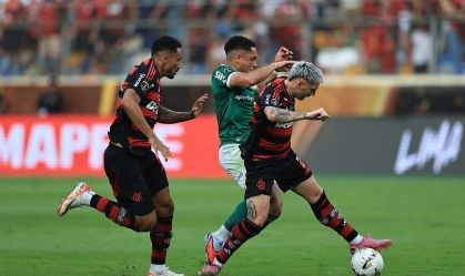 Palmeiras v Flamengo - Copa CONMEBOL Libertadores 2025 Final