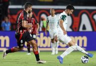 Palpite, odds e onde assistir Palmeiras x Vitória - Brasileirão