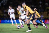 Onde assistir Palmeiras x Novorizontino: palpite e odds - Paulistão