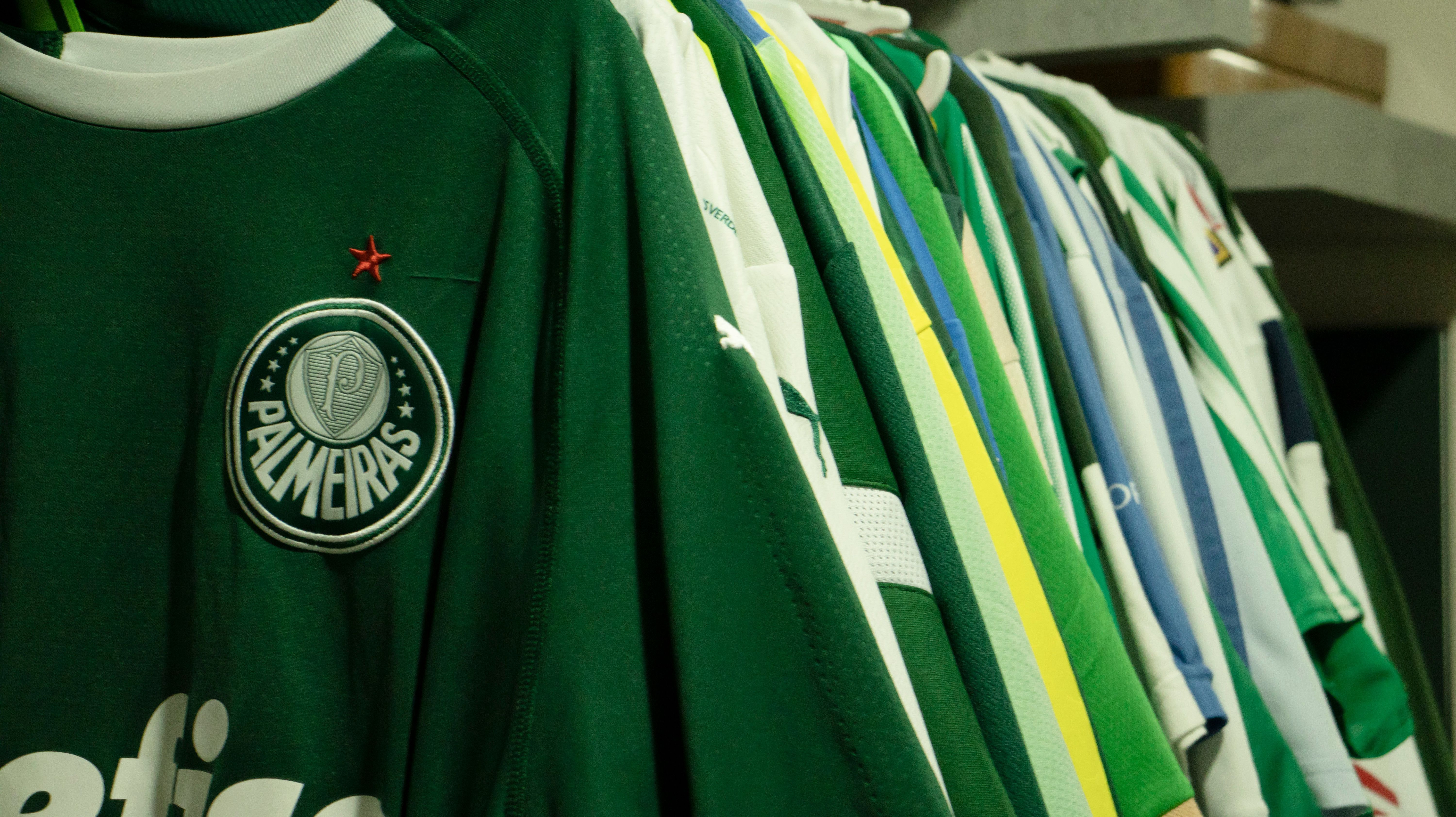 Brazilian football team Palmeiras shirt. Photo made in Nov 10 2023 in São Paulo Brazil.